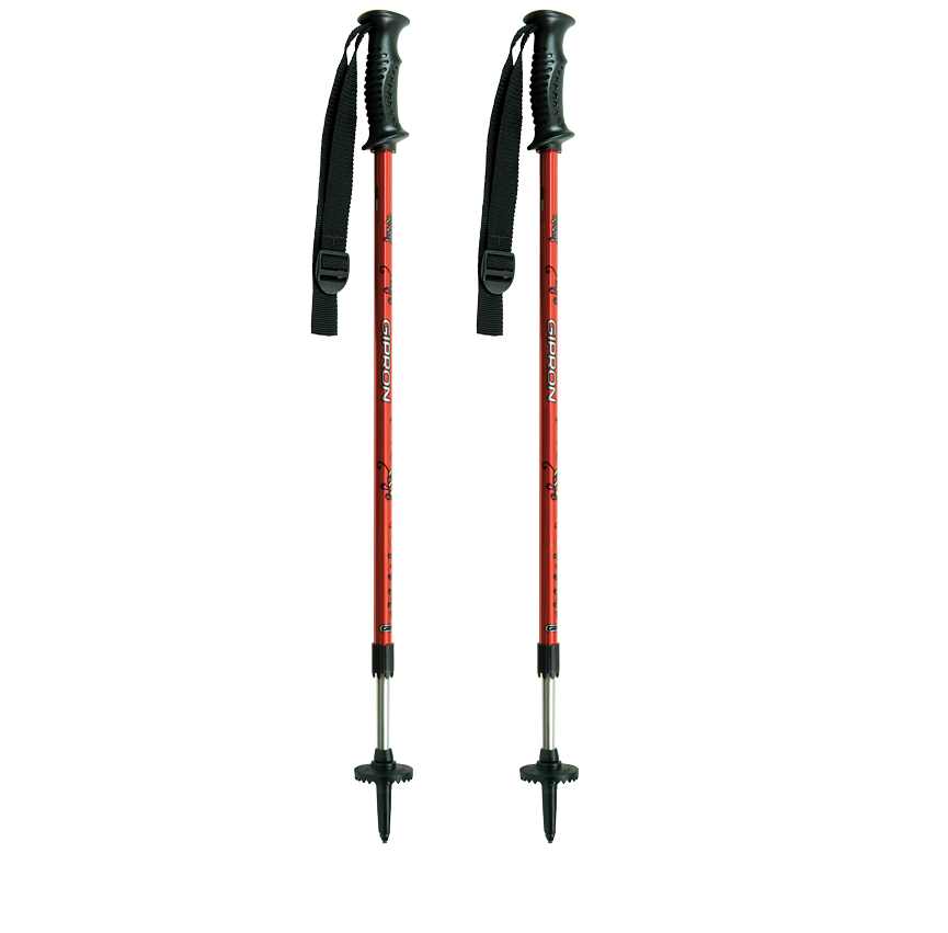 Bastoni da trekking da bambino Gipron JR leggeri 2 elementi regolabili per bimbo Meglior prezzo best price trova prezzi amazon ebay