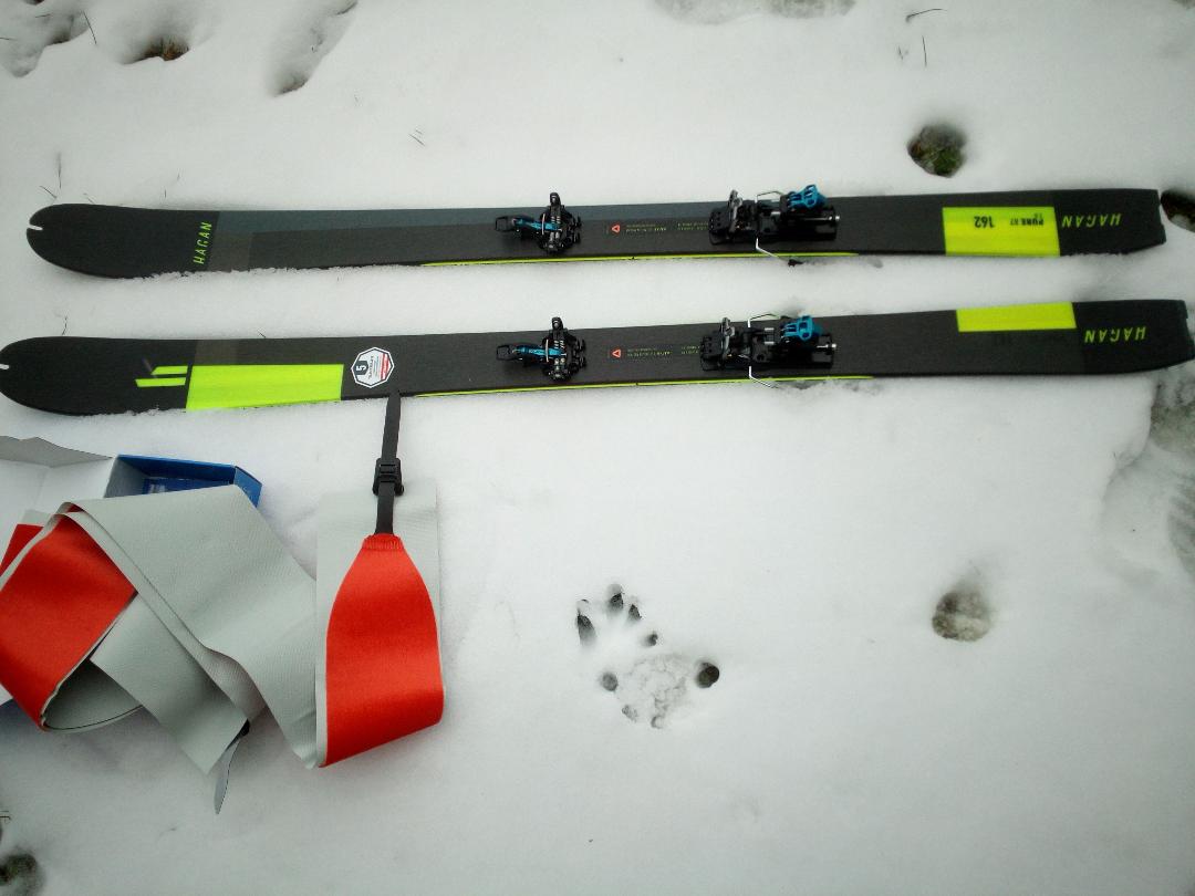 Noleggio set scialpinismo Adulto sci Hagan Pure 87+ pelli + attacchi MTN Tour M prezzo best price