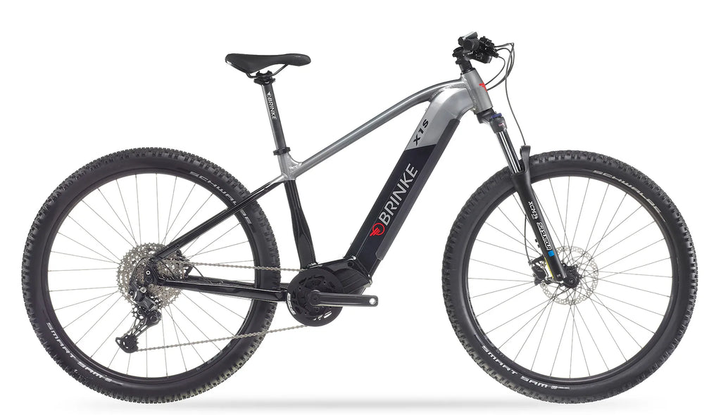 E-bike elettrica Mountain bike ammortizzata Brinke X1S